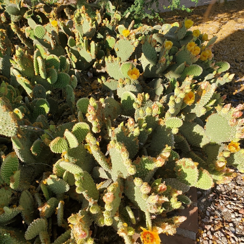 Meet your Posher, Helen
